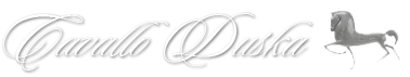 DeepFocus Logo